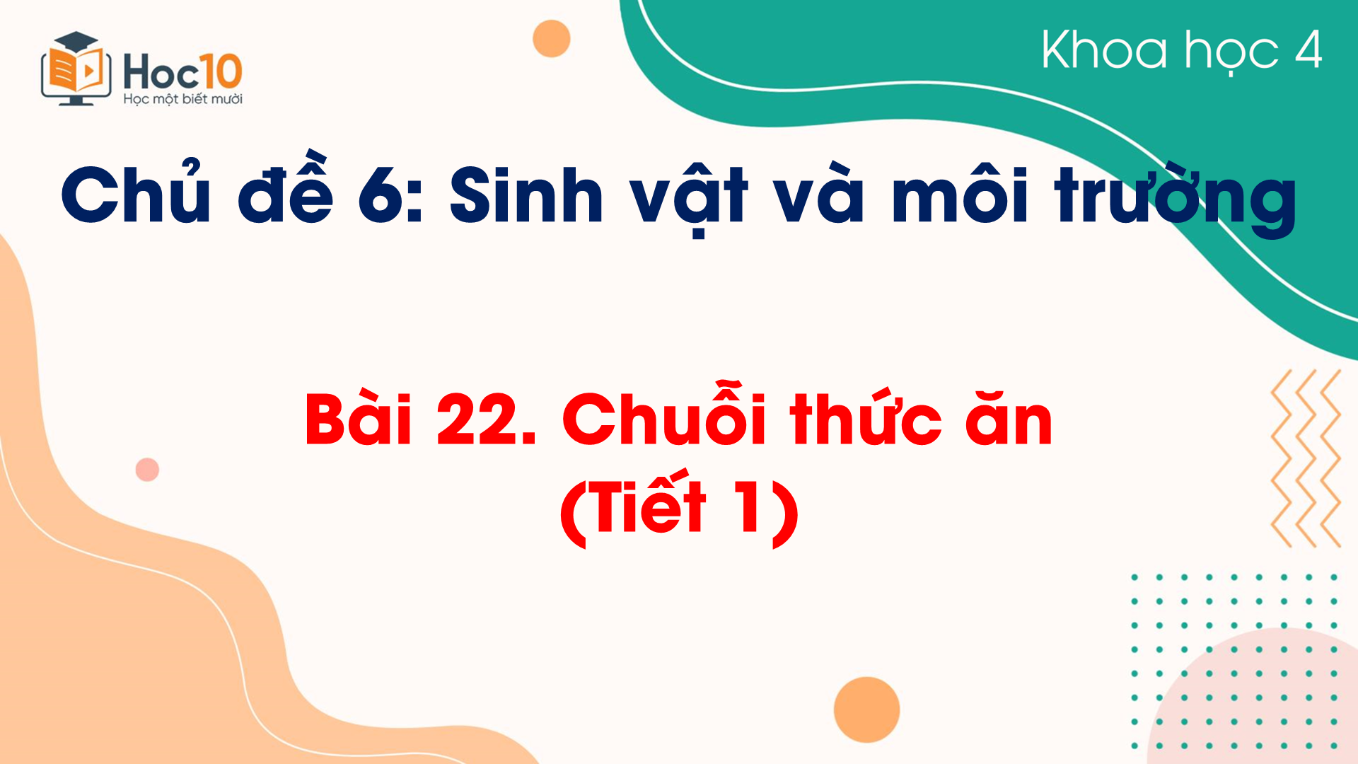 Chủ đề 6 - Bài 22 Chuỗi thức ăn (Tiết 1)